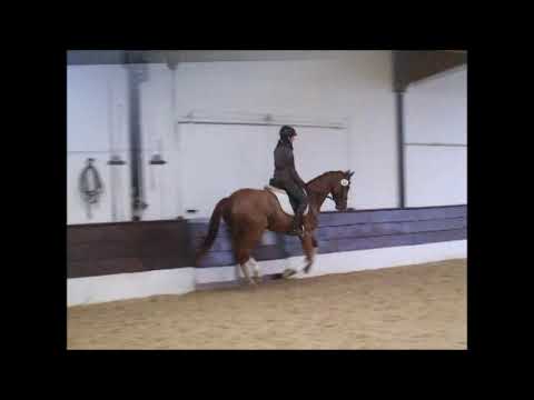 SIXX 5j. Hann. St. v. Stanley VB 7.500,- Euro