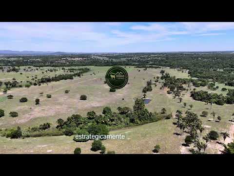 197 ALQUEIRES | JUSSARA GO | R$47 MILHÕES | 64992196083 WHATSAPP 