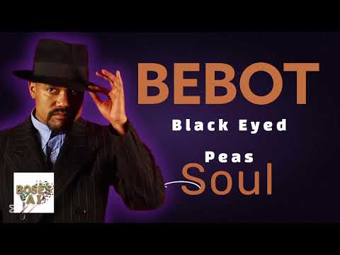 BLACK EYED PEAS - BEBOT (FUNKY SOUL A.I. COVER)
