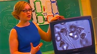 Cable in the Classroom (Promo Reel) 2001