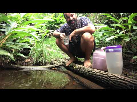 Sobre o conflito entre Mestre Braga e a Família de Mestre Gabriel?