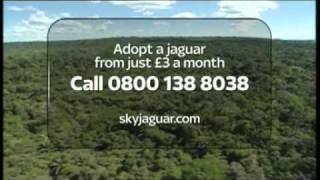 Sky Amazon Rainforest Rescue- Adopt A Jaguar