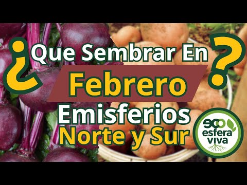 February Planting Guide: Northern & Southern Hemisphere