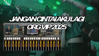Download lagu jangan cintai aku lagi ORG VIP 2025 mp3 Download lagu jangan cintai aku lagi ORG VIP 2025 mp3