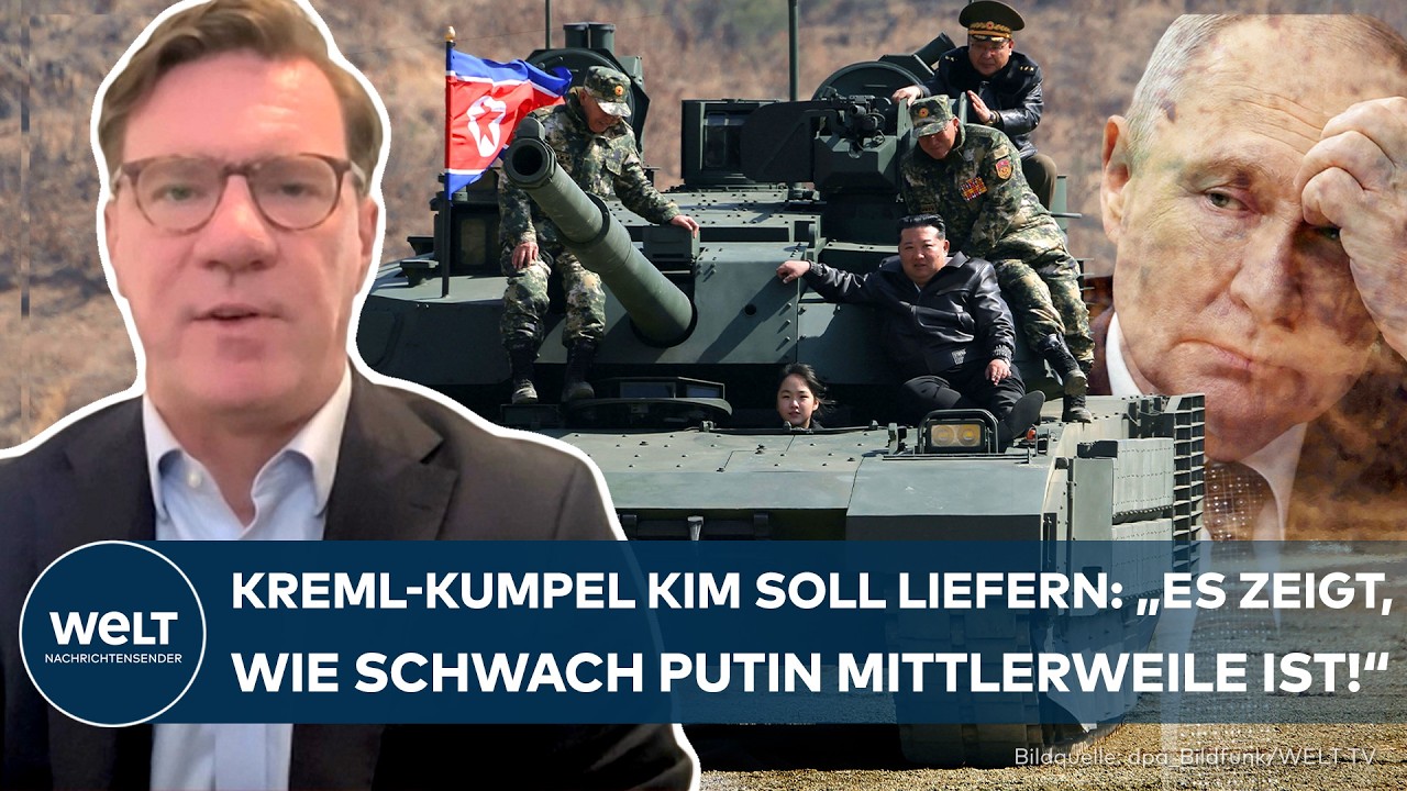 PUTINS UKRAINE-KRIEG: „Moskau hat nicht viele andere Optionen, als sich an Nordkorea zu wenden!“
