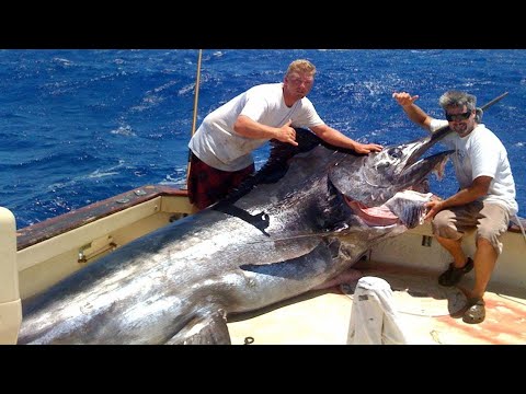 Great Fastest Bluefin Tuna & Giant Swordfish Fishing Skills - Most Satisfying Fishing Video