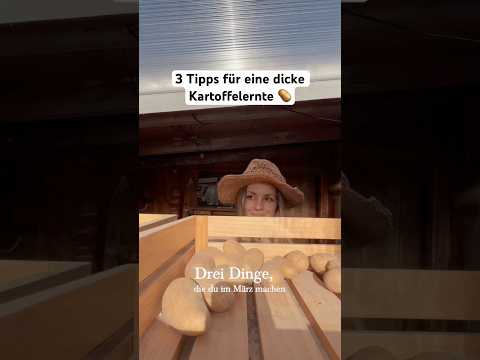 Ernte-Erfolg: Die entscheidende Phase für mehr Ertrag im Garten