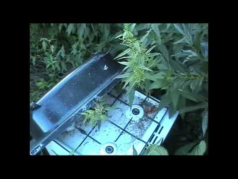 Silent Session - Smetiště -Koza011 Klip