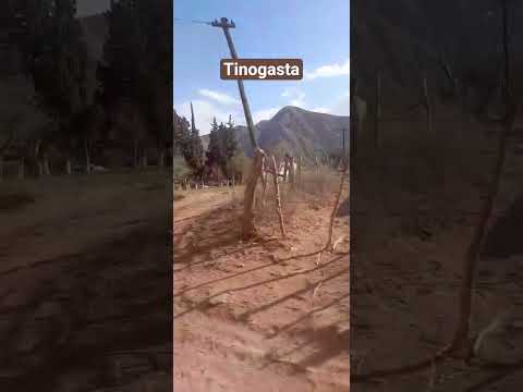 Camino del adobe #tinogasta #catamarca #caminodeladobe #vibralibre #pasionporviajar #shorts