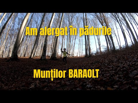 Am alergat prin cea mai frumoasa padure din Covasna | Muntii Baraolt