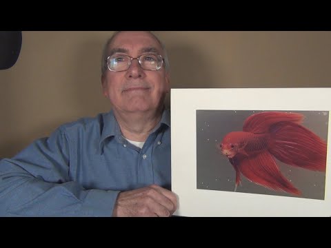 ASMR Showing my Old Photography Class Photos