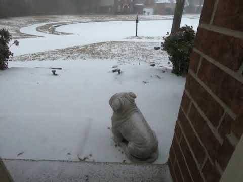 Collierville, Tennessee Snow February 2021