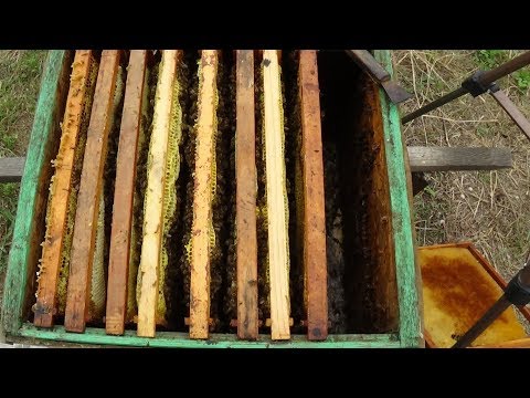 Подготовка отводков к зиме на пасике