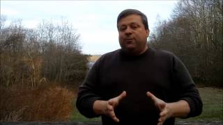 Dog Training - How To Stop Barking, Lunging And Aggressive Behavior On Leash