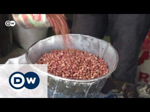 , title : 'Das Ende der großen Erdnussernten | Global 3000'
