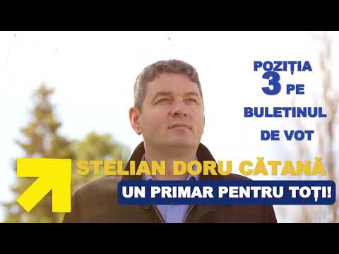 O VIZIUNE NOUĂ despre Reghin | Stelian Doru Cătană