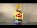 Lipton Ice Tea Sparkling FR 15 Lipton Ice Tea Lipton