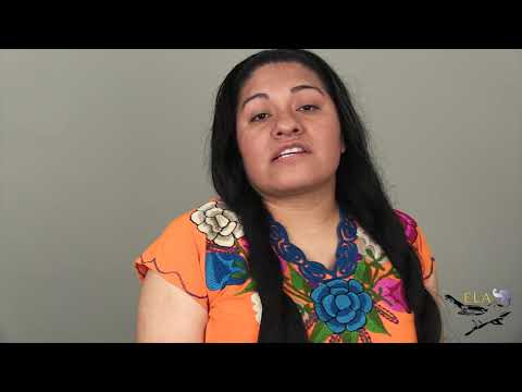 Censo 2020 - Me'phaa (Tlapanec)