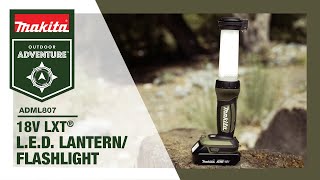 Outdoor Adventure™ 18V LXT® L.E.D. Lantern/Flashlight (ADML807) - Thumbnail