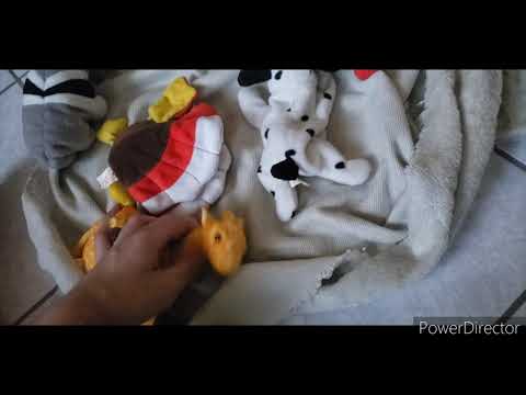 Tom the Hand 4 (2020) - Opening Scene