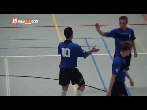 Samenvatting CFM/Transito - ZVS/Rijschool Gestel 2016/2017