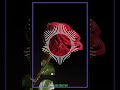 Nee Malara Malara Malaranal Song Tamil Whatsapp Status Song Love Songs ️ ️ ️