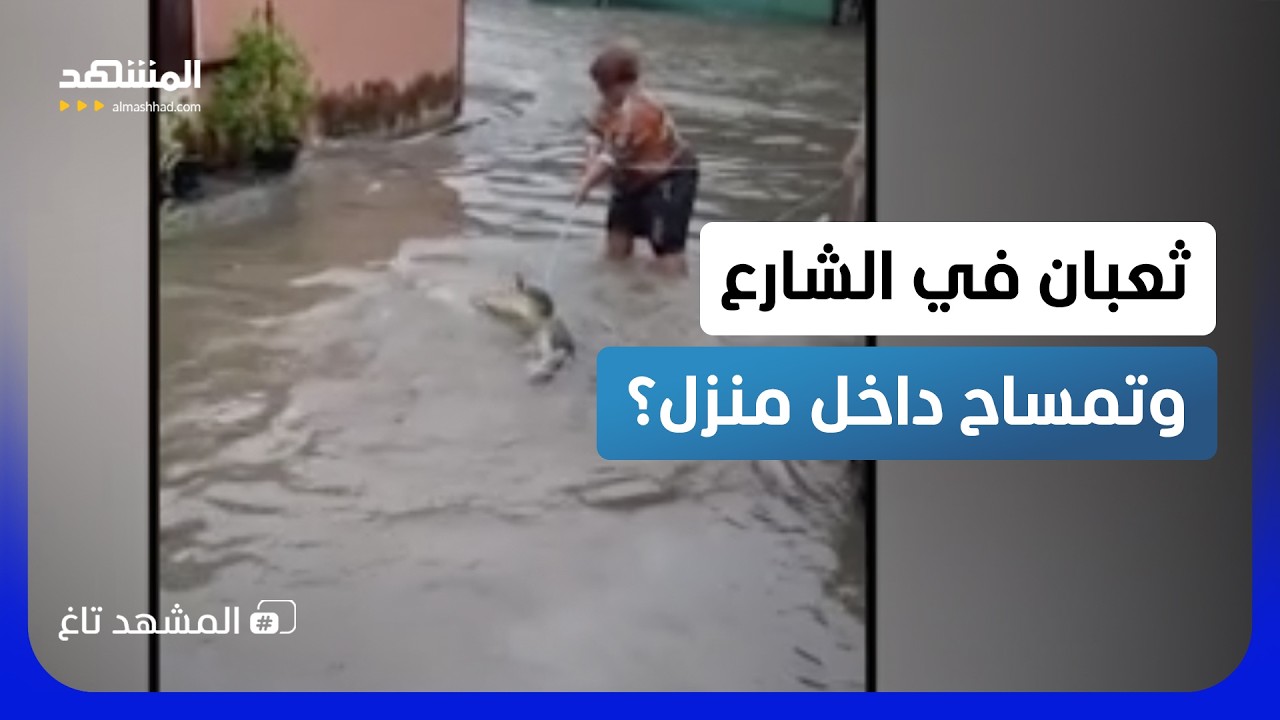 مياه الشوارع تجلب الوحوش.. مشاهد مرعبة لزواحف ضخمة تغزو بيوت بانكوك!  - المشهد 