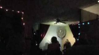 Pebaluna - Penguin Island Live