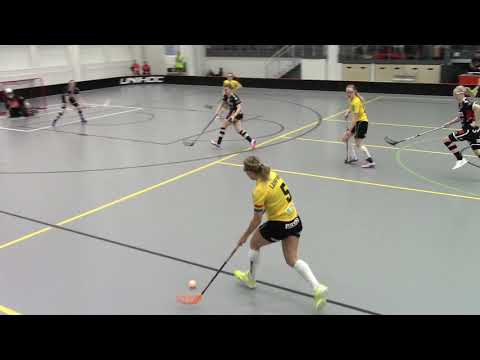 SB-PRO maalikooste: SB-PRO - PSS (10.3.2019)