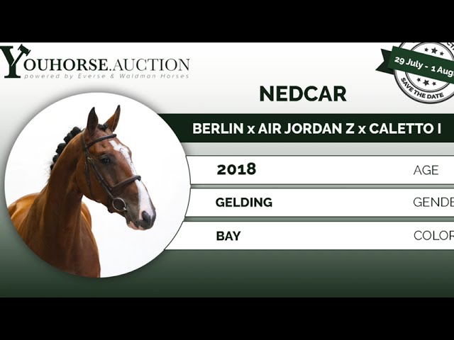 Nedcar @ show
