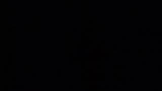 遠州鉄道バス　e-LineR　浜松駅→東京ディズニーランド(夜行便)車内放送