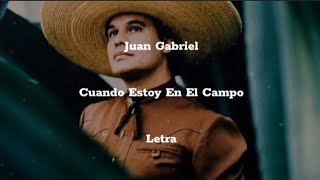 Juan Gabriel • Cuando Estoy En El Campo • Letra