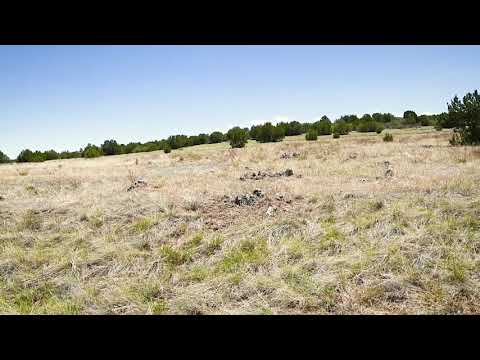 SOLD By Compass Land USA - 0.19 Acres – In Colorado City, Pueblo County CO