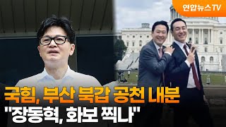 국힘, 부산 북갑 공천 놓고 내분…'방미' 장동혁엔 화보 찍으러 갔나 / 연합뉴스TV (YonhapnewsTV)