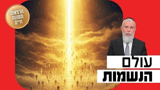 הרב זמיר כהן - עולם הנשמות