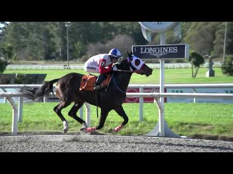 220729 c01 NAVIDAD BLANCA