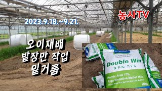 오이재배 밭장만작업과정 유기물 퇴비  밑거름 비료 살포량  2023년 9월 22일