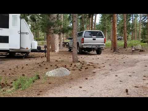 Olive Ridge Campground walk-around