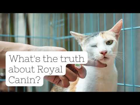 What's the truth about Royal Canin?