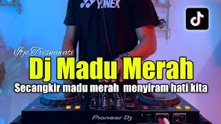 Download lagu DJ SECANGKIR MADU MERAH SLOW TIKTOK - MADU MERAH FULL BASS 2023 mp3