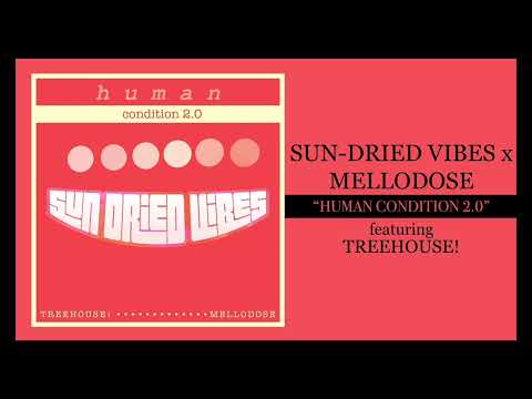 Sun-Dried Vibes x Mellodose - “Human Condition 2.0 (feat. TreeHouse!”