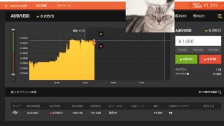 【FX】1万円から始める為替取引【BO】66