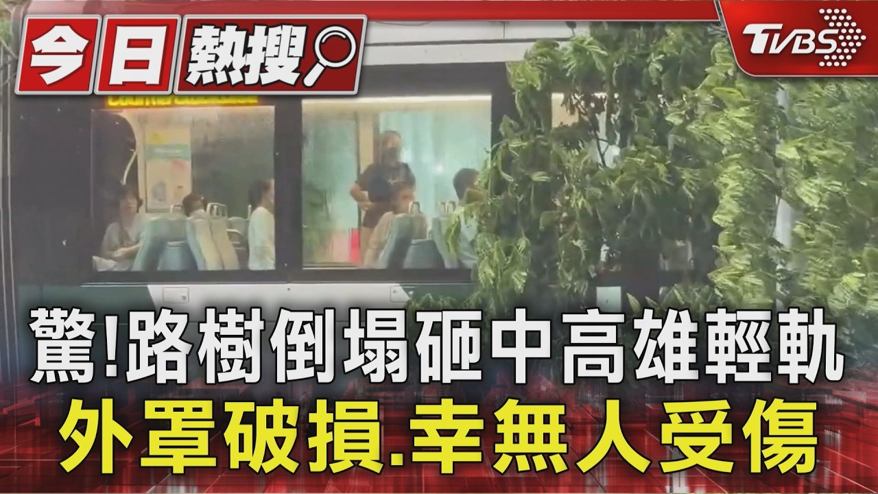 驚!路樹倒塌砸中高雄輕軌 外罩破損.幸無人受傷|TVBS新聞 @TVBSNEWS01