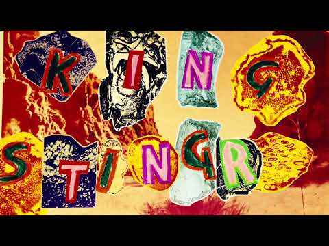 Hey Wanhaka - King Stingray