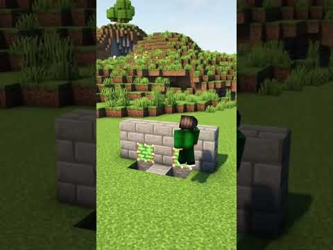 Insane Double Block Swapper in Minecraft!