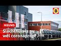 Vleesverwerker Helmond weer deels open na coronasluiting | Omroep Brabant
