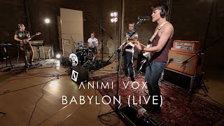 ANIMI VOX - BABYLON (Live at Watt Matters Studio Bielefeld)