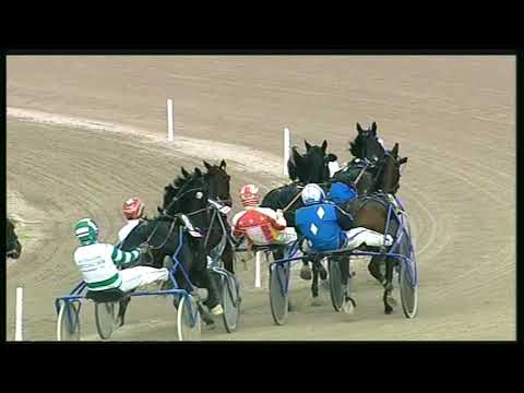 Trotto 15/11/2020 - 2ª corsa