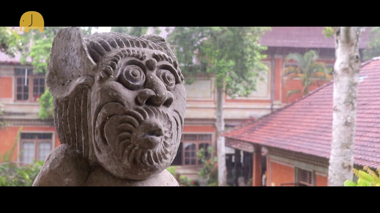 Discover a captivating glimpse of Neka Art Museum.