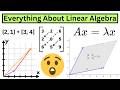 Everything About Linear Algebra In 10 Minutes